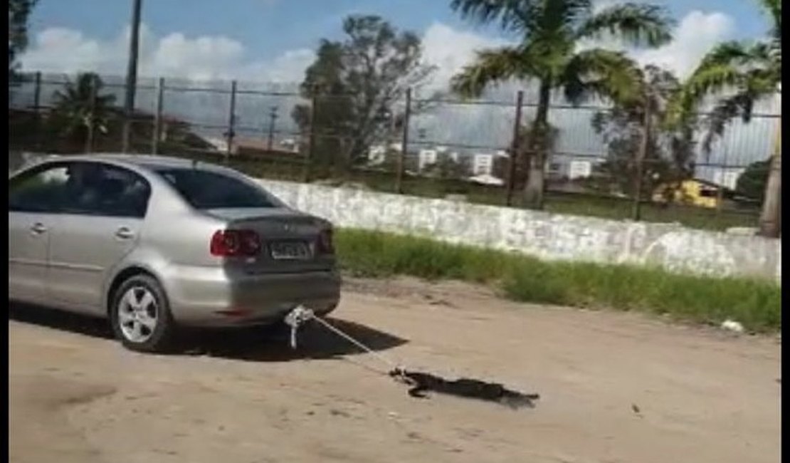 Polícia Civil identifica motorista que arrastou cachorro com corda, em Alagoas