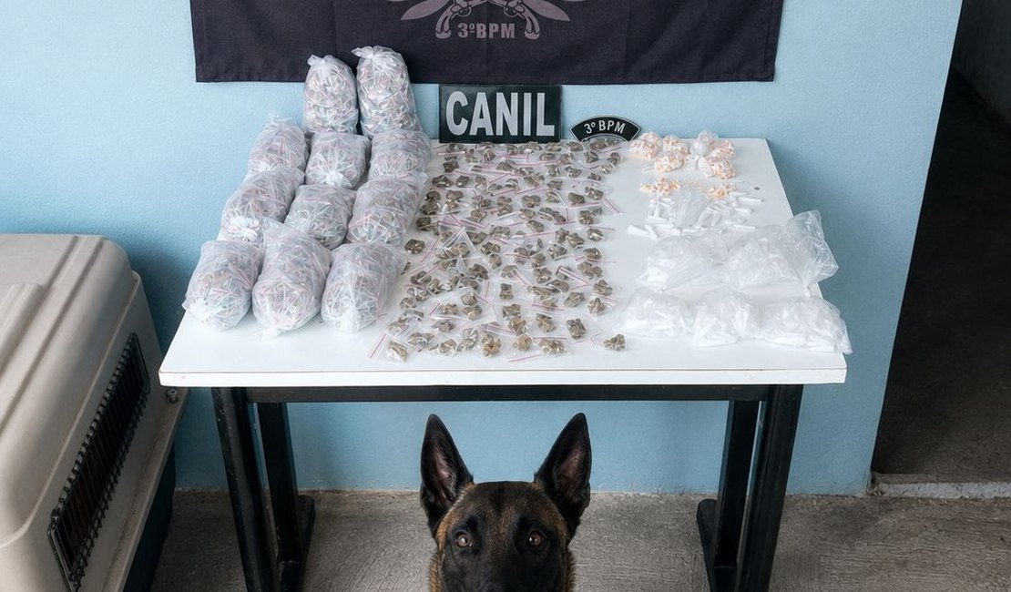 Cão farejador encontra quase 1 kg de drogas escondidas em área de mata em Arapiraca