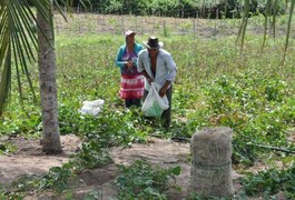 Desenvolve libera recursos para fortalecer cooperativa de crédito rural do Agreste