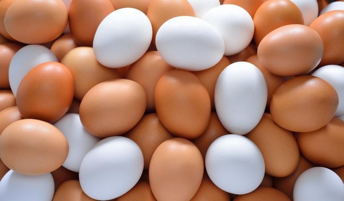 Após acusar esposa de roubar ovos de galinha, homem agride a companheira e faz filha comer lama em Feira Grande