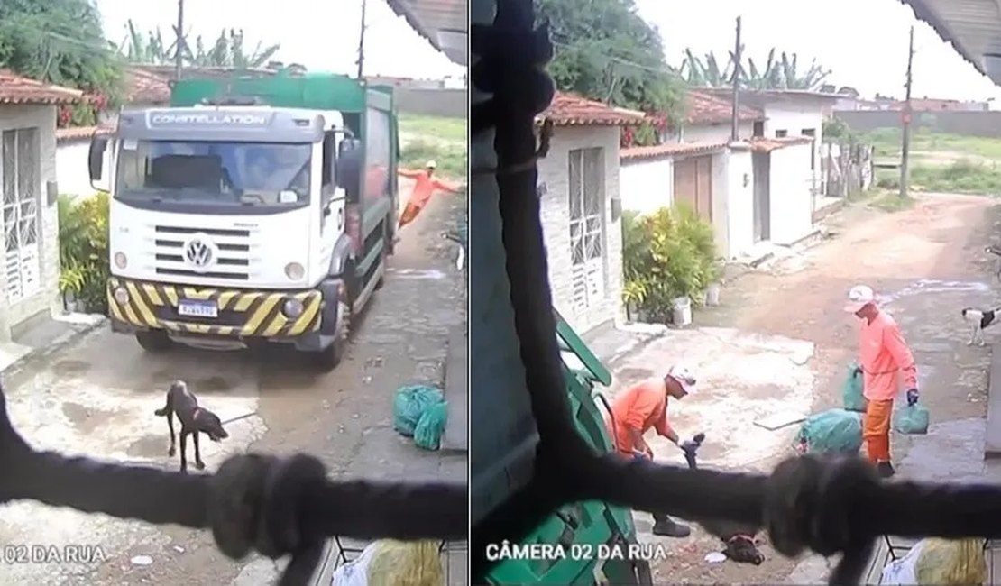 Motorista de caminhão de lixo que atropelou cão diz não ter visto o animal; equipe de coleta foi demitida