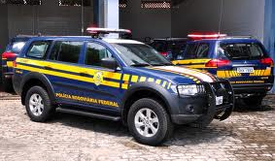 PRF apreende arma e munição na BR 101 em Junqueiro