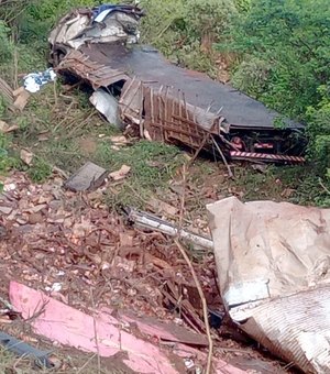 Acidente de caminhão na AL 115, em Palmeira dos Índios, deixa vítima fatal