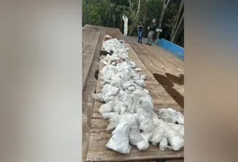 Polícia apreende quase uma tonelada de pedra do mineral vivianita