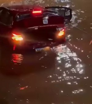 Carro cai no Lago Paranoá e motorista é salva por marinheiro