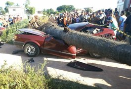 Árvore cai sobre carro e mata turista em Maragogi