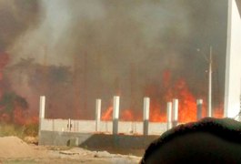 Incêndio atinge áreas do Campus da Ufal em Arapiraca