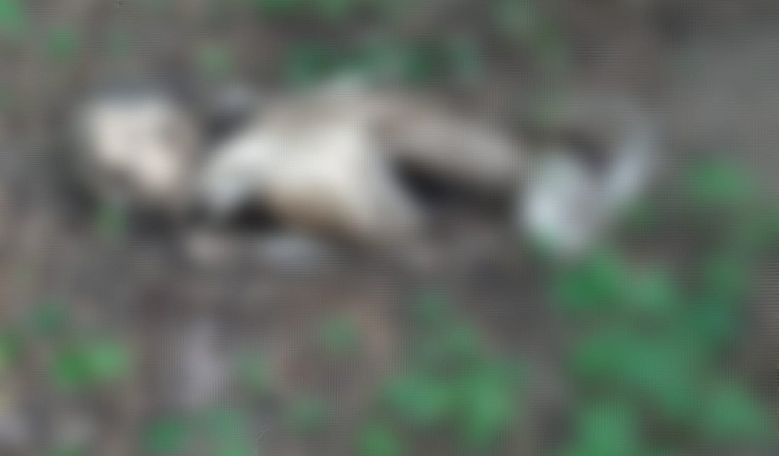 Ossada humana é encontrada na zona rural de Igaci