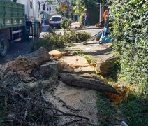 Fortes ventos de ciclone causam duas mortes em SP