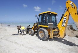 GTA emite nota sobre situação do óleo nas praias de Alagoas nesta sexta