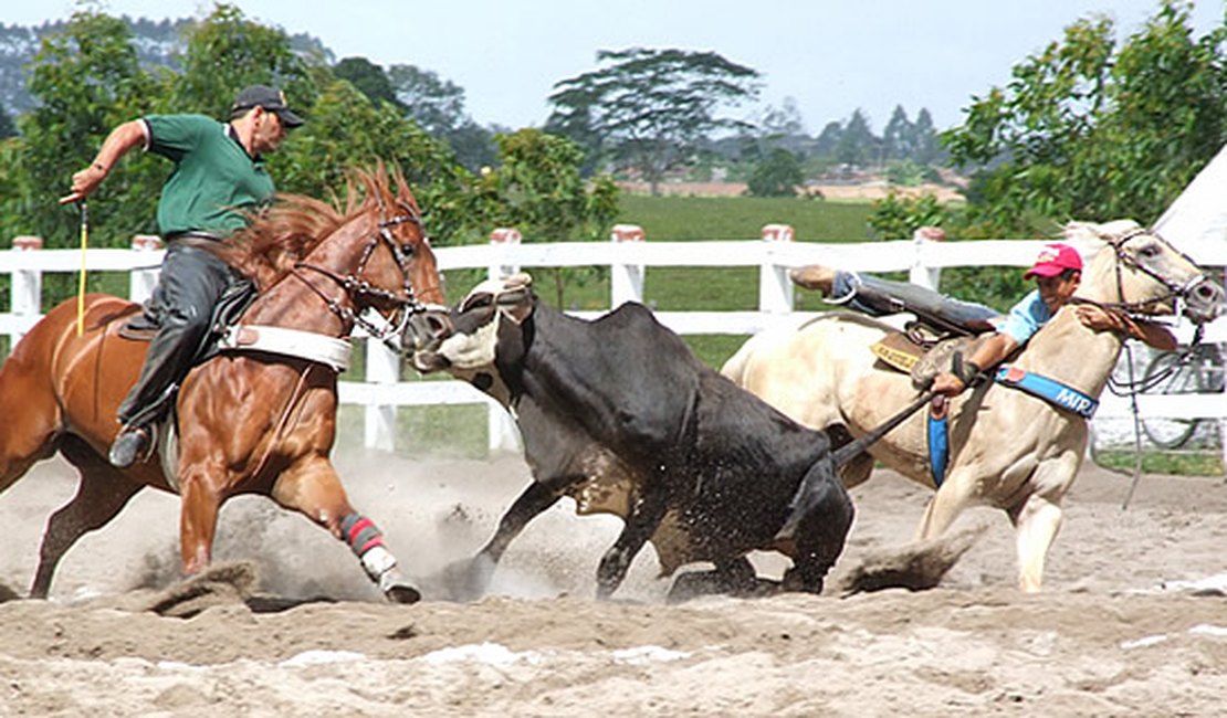 Governador sanciona lei que torna Rodeio e Vaquejada  manifestações culturais em AL