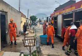 Duas casas pegam fogo e homem fica ferido, em Arapiraca