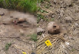 Ossada é encontrada nas proximidades de barragem, em Junqueiro