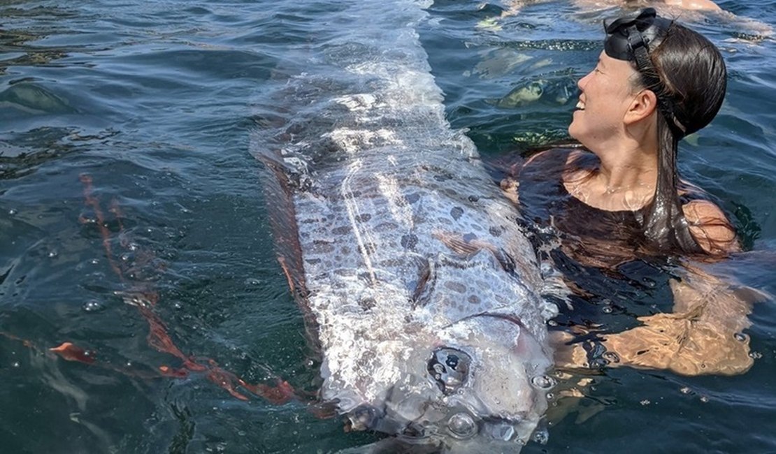 'Peixe do juízo final' é encontrado em praia na costa da Califórnia; espécie costuma ser vista antes de catástrofes