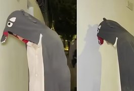 Jovem vestido de dinossauro é preso ao ser flagrado furtando fiação de comércio, em MG