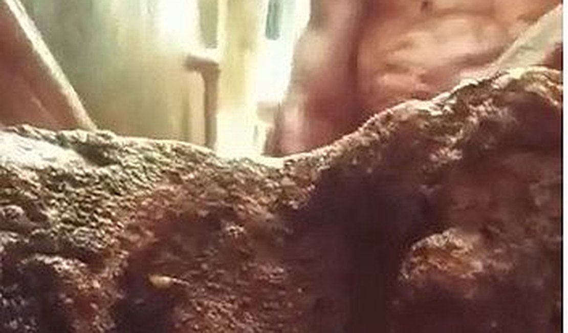 Mulher é presa após ser flagrada agredindo homem debilitado em Maragogi