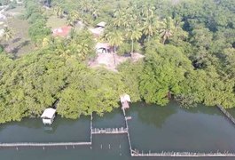Substâncias tóxicas são encontradas no Rio Tatuamunha após morte de peixes-boi em Porto de Pedras