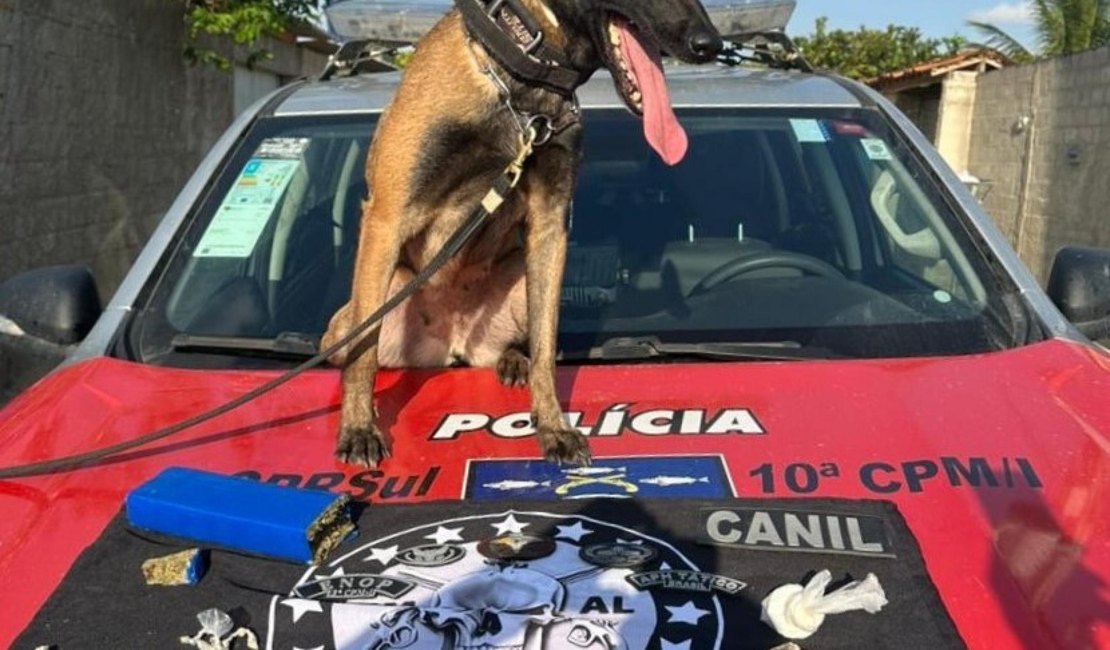 Polícia Militar cumpre mandado judicial e efetua prisões por tráfico de drogas no Litoral Sul