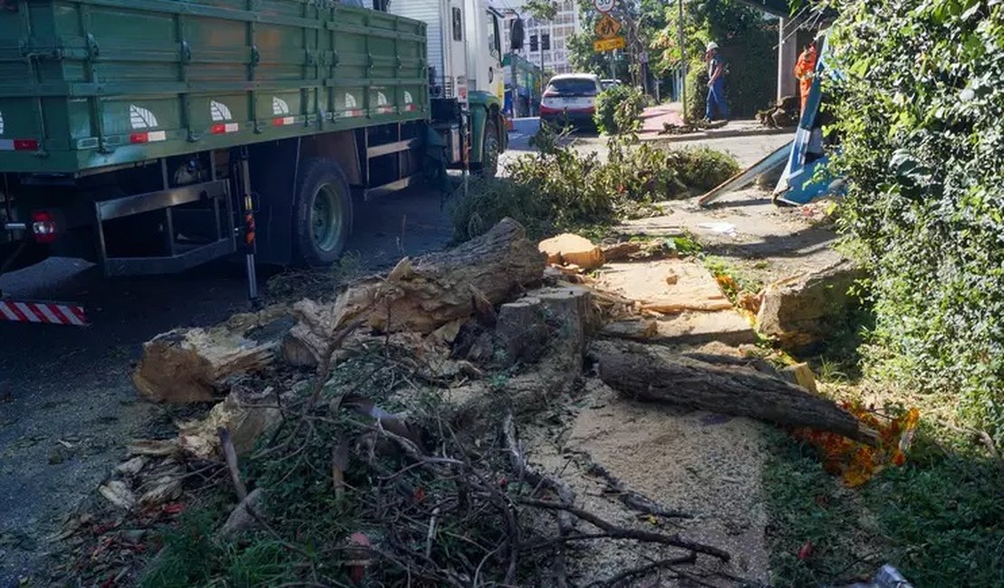 Fortes ventos de ciclone causam duas mortes em SP