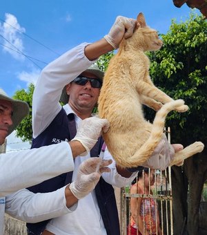 Arapiraca realiza Dia “D” de vacinação antirrábica para cães e gatos neste sábado (6)