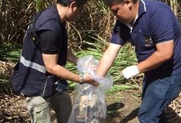 Populares encontram ossada humana em uma mata, no interior alagoano