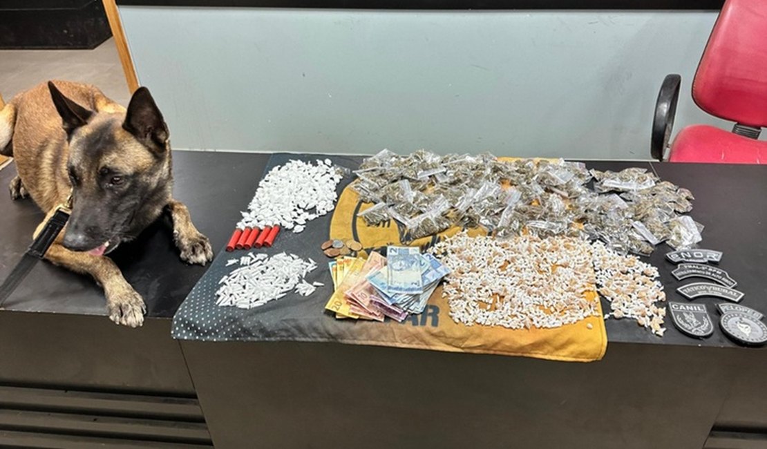 PM contabiliza apreensão de quase 50 quilos de drogas e 25 armas de fogo em uma semana em Alagoas