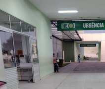 Cavalos soltos na rodovia causam acidentes na AL 115, em Arapiraca