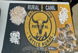Combate ao tráfico: PM soma quase 3 mil unidades de drogas apreendidas no interior