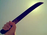 Corpo carbonizado é encontrado com marcas de golpes de facão em Rio Largo