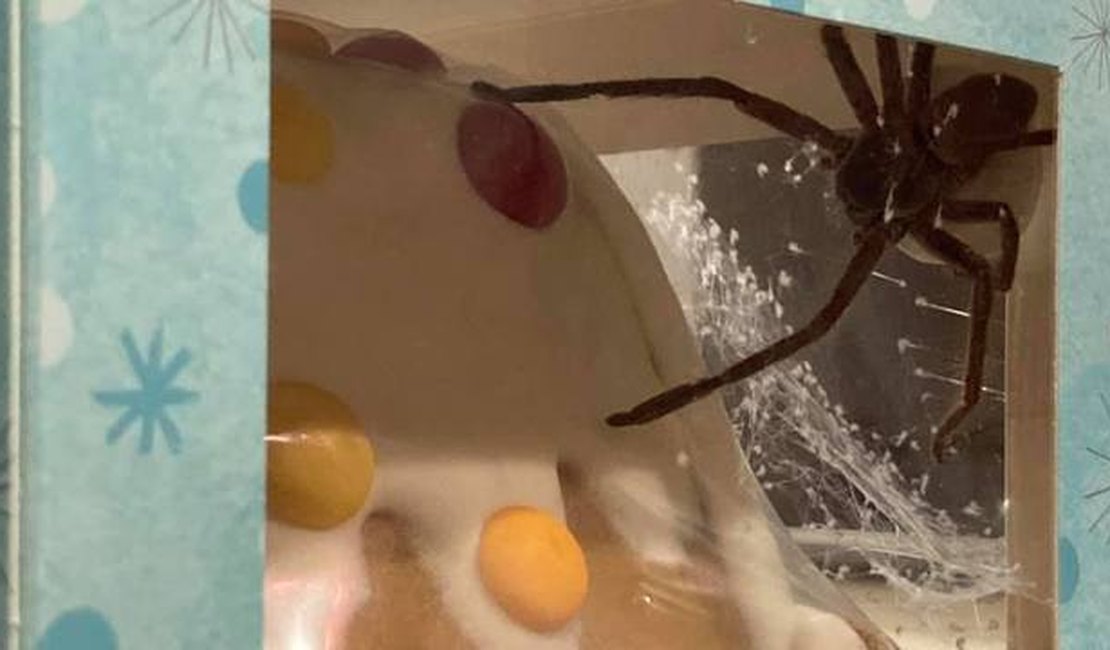 Mulher leva susto ao encontrar aranha enorme em doce comprado em supermercado