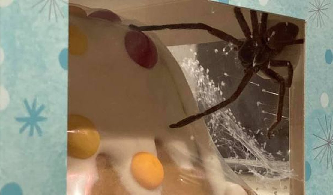 Mulher leva susto ao encontrar aranha enorme em doce comprado em supermercado