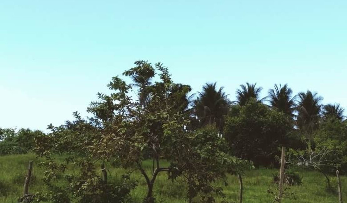 Teremos sábado de sol e domingo com possibilidade de chuvas fracas no Agreste e Sertão