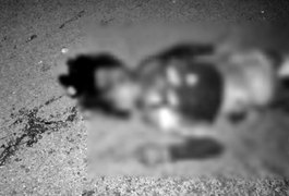 Motociclista morre esmagado por veículo após colisão com animal na pista