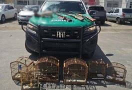 BPA resgata animais silvestres e apreende três armas em operação no Litoral Norte