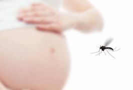 STF pode julgar aborto para grávidas com zika este ano, diz Cármen Lúcia