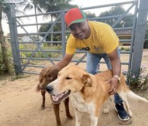 Júnior Mendes repudia acusações, de opositores, sobre autoria de atropelamento de animal em Taquarana
