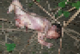 Adolescente de 16 anos é apreendida suspeita de matar e abandonar filha recém-nascida em canavial, em Jundiá