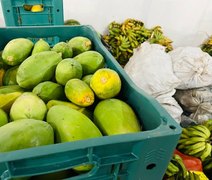 Agricultura contribui para garantir segurança alimentar e nutricional dos alagoanos