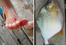 Piranhas atacam mais de 24 banhistas em Pão de Açúcar