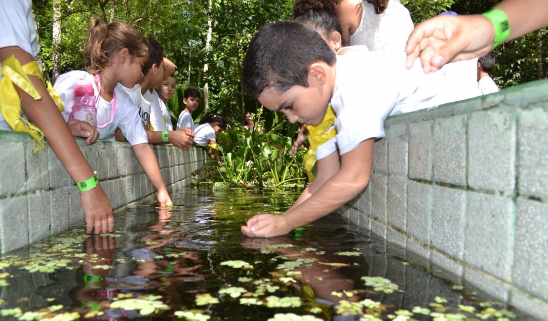 Projeto Ecoférias inicia segunda semana de atividades