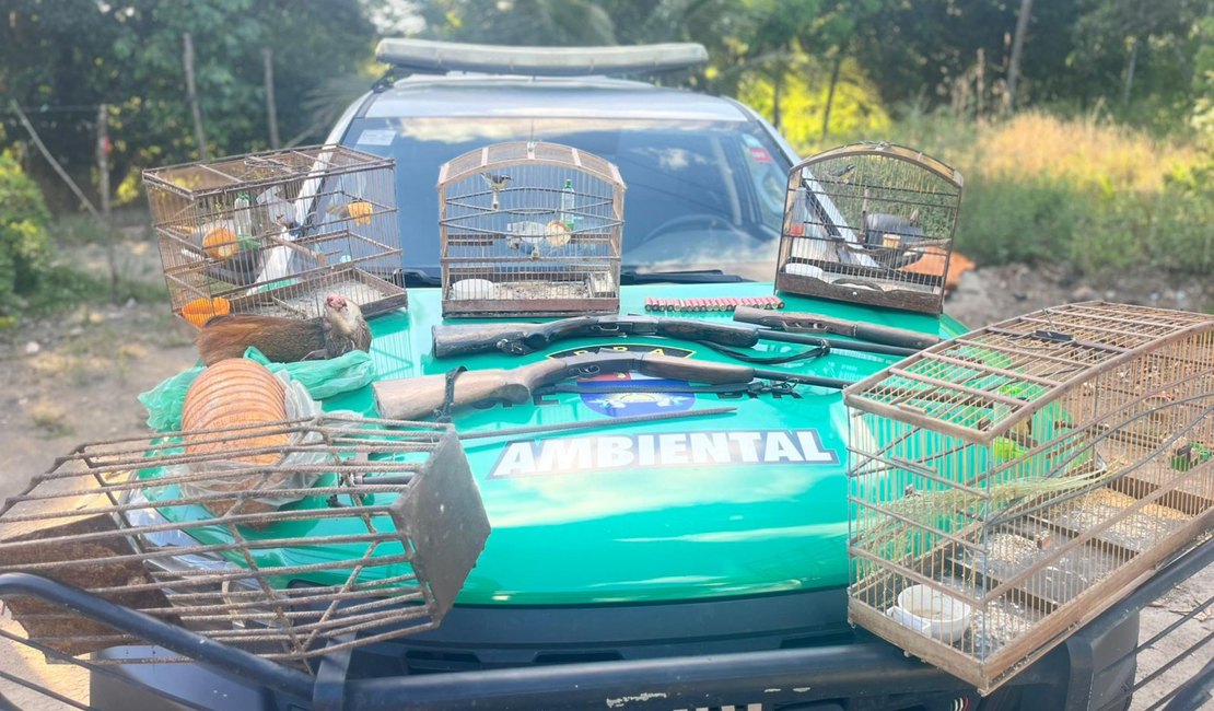 Polícia Militar apreende aves silvestres, armas e armadilhas de caça em Porto de Pedras