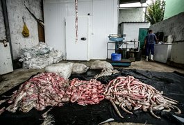Unidade de beneficiamento de produtos gordurosos não comestíveis é interditada em Arapiraca