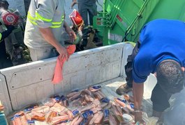 Vigilância apreende 150kg de alimentos estragadas em Maceió