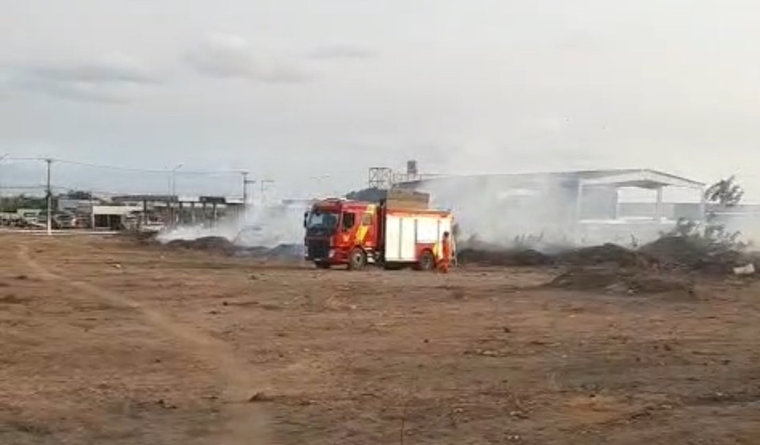 Corpo de Bombeiros é acionado para controlar incêndio em vegetação em Arapiraca