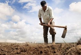 Sobe para 45 o nº de municípios de Alagoas em emergência pela seca