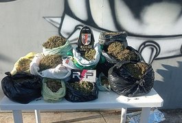 Após denúncia, PM apreende 21 quilos de maconha em Arapiraca