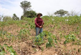 Mais de 20 mil agricultores alagoanos vão receber Garantia-Safra neste mês de março