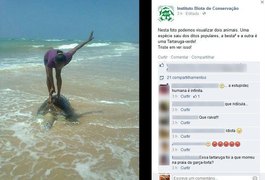 Imagem de banhista sobre tartaruga morta causa revolta nas redes sociais