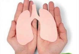 Setembro Verde: HUPAA realiza simpósio para sensibilizar sobre a importância da doação de órgãos