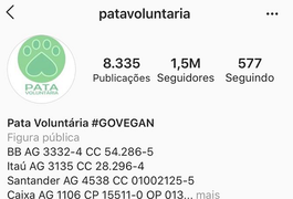 Justiça determina bloqueio de página da ONG Pata Voluntária